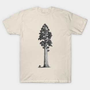 SEQUOIA TREE T-Shirt